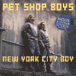 New York City Boy - CD5: 1999 FR (EMI; 7243-8-88013-2 4) [french stickered 3 track CD]