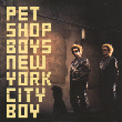 New York City Boy - CD5: 1999 NL (Parlophone; 7243-8-87725-2 5) [2-trk; card sleeve]