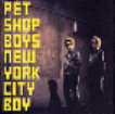 New York City Boy (1999)
